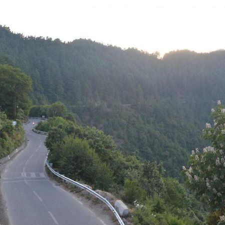 Hotel Crystal Palace Dhanaulti Buitenkant foto